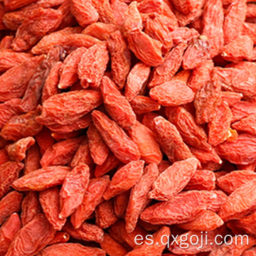 El mejor goji seco goji wolfberry para la venta